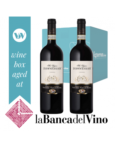 Mini Verticale Barbera d'Asti Superiore Sei Vigne Insynthesis 2003-2004 - 2 bottiglie - Vinchio Vaglio Serra Banca del Vino