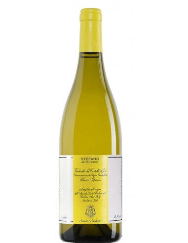 Magnum Verdicchio dei Castelli di Jesi Superiore 2016 Stefano Antonucci - Santa Barbara- Banca del Vino