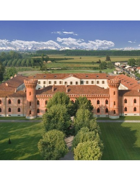 Magnum Barbaresco Rabajà Riserva 2016 - Giuseppe Cortese - Banca del Vino