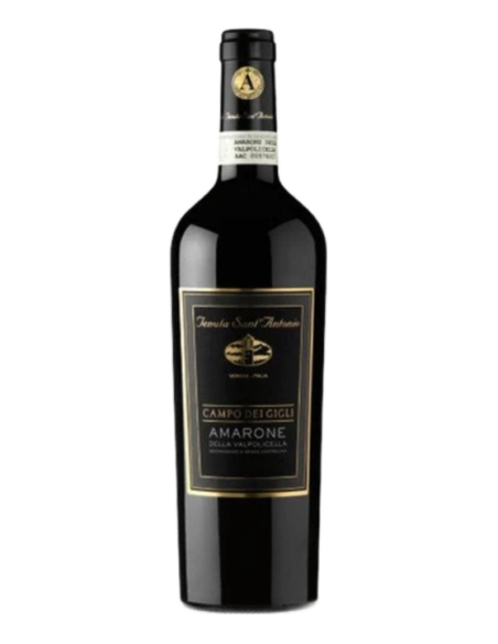 Amarone della Valpolicella Campo dei Gigli 2011 -Tenuta Sant'antonio