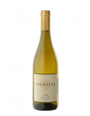 Ode Bianco 2019 - Vignalta