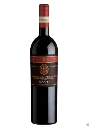 Amarone della Valpolicella Classico Proemio 2005 - Santi - Gruppo Italiano Vini