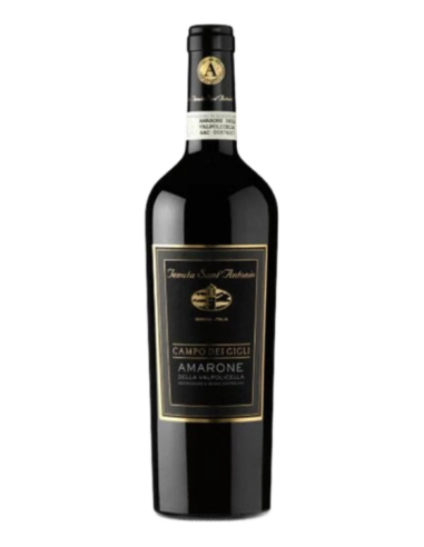 Amarone della Valpolicella Campo dei Gigli 2010 -Tenuta Sant'antonio