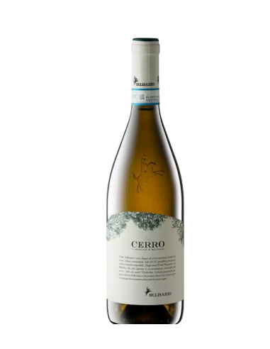 Verdicchio di Matelica Del Cerro 2022 - Cantine Belisario