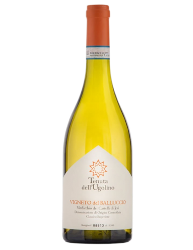 Verdicchio dei Castelli di Jesi Classico Superiore Vigneto del Balluccio 2020 - Tenuta dell'Ugolino