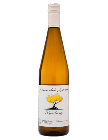 Riesling Lame del Sorbo 2022 - Agricolavinica