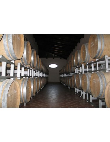 Trebbiano d'Abruzzo Bianchi Grilli per la Testa...