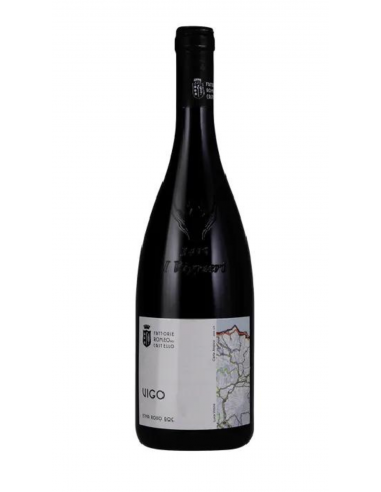 Etna Rosso Vigo 2013 - Fattorie Romeo del Castello