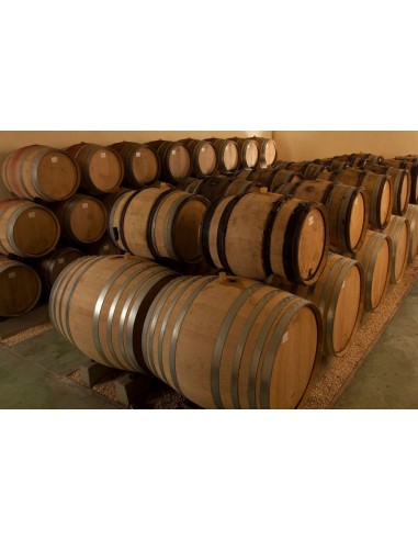 Riesling Grittermatte 2018 - MEYER JULIEN SAS