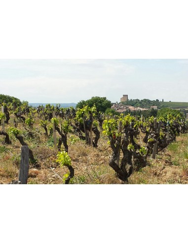 Cotes De Rhone 2023 - DOMAINE LES PERES DE...