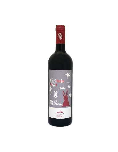 Stellina 2023 - 6 bottiglie - Villa Sardini