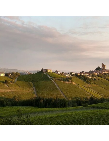 Barolo Parafada 2020 DOCG - 3 bottiglie - Palladino box