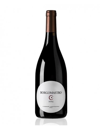 Aglianico Borgomastro Colli di Salerno 2019 Igt - Lunarossa