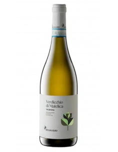 Verdicchio di Matelica 2019...