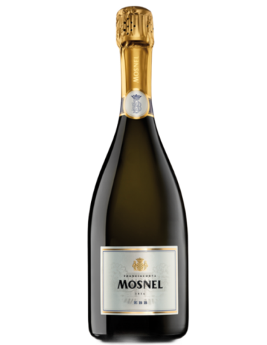 Franciacorta Extra Brut Ebb 2018 - Il Mosnel