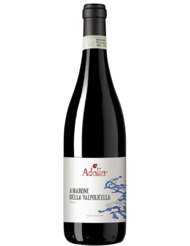 Amarone della Valpolicella Ruvaln Adalia 2019 -  Camerani - Corte Sant'Alda - Adalia