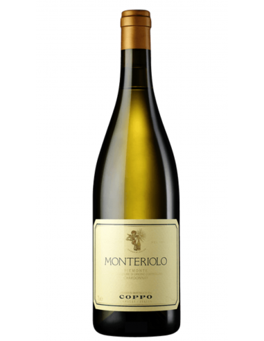 Piemonte Chardonnay Monteriolo 2013 - Coppo- Banca del Vino