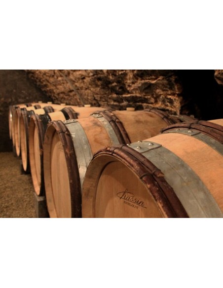 Pinot Noir Collection 2023 - Maison Chanzy - PAQUET MONTAGNAC BOURGOGNE SARL
