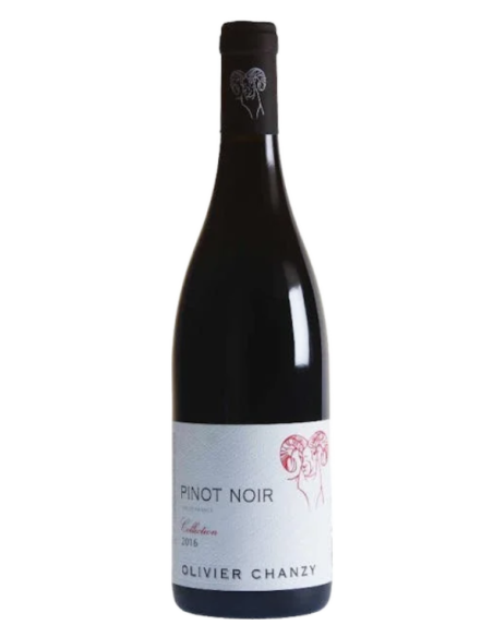Pinot Noir Collection 2023 - Maison Chanzy - PAQUET MONTAGNAC BOURGOGNE SARL