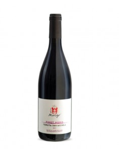 Pinot Nero Tenuta San...