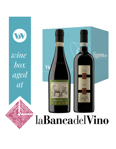Magnum Barbaresco Versù Gallina 2001 e Rosso del Monferrato Pin 2004  - 5 bottiglie - La Spinetta - Banca del Vino