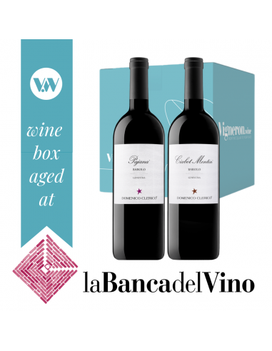 Barolo Ciabot Mentin 2004 e Pojana 2005 - 3 bottiglie - Domenico Clerico - Banca del Vino