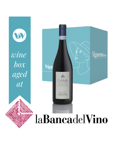 Magnum Langhe Rosso Bric du Luv 2005 di Cà Viola - 1 bottiglia - Banca del Vino