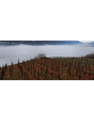 Valtellina Superiore Valgella Riserva 2005 -...