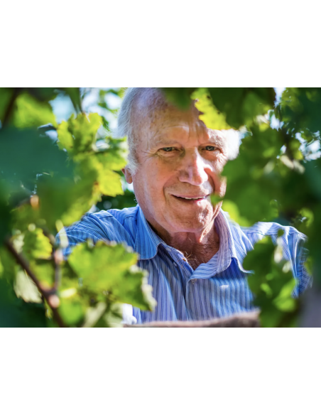 Belle Dosaggio Zero Millesimato M.C. vino spumante 2018 - Cà Lojera