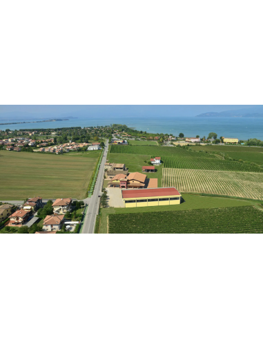 Belle Dosaggio Zero Millesimato M.C. vino...