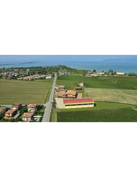 Belle Dosaggio Zero Millesimato M.C. vino spumante 2018 - Cà Lojera