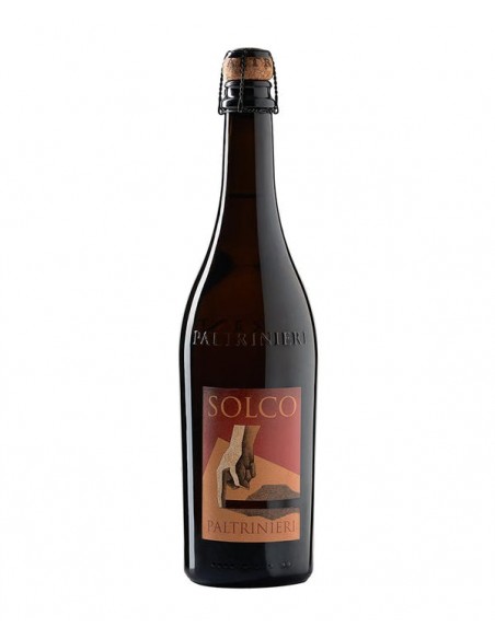 Solco Lambrusco Emilia Semisecco M.M. 2024 Igp - Paltrinieri