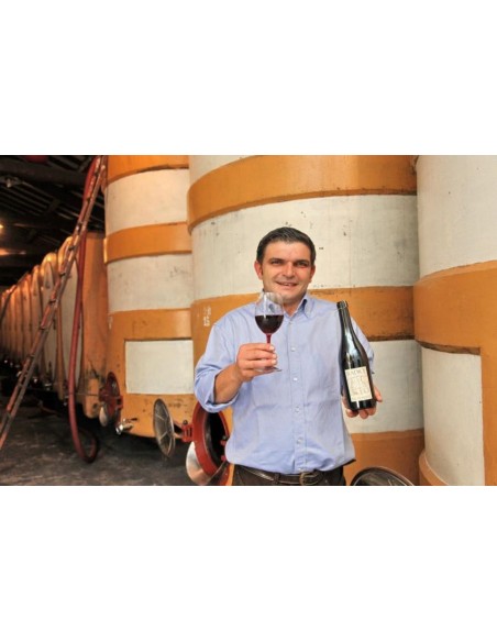 Grosso Lambrusco Di Modena Dosaggio Zero M.C. 2021 Doc - Paltrinieri