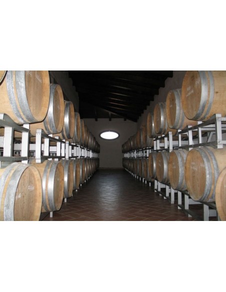 Montepulciano D'abruzzo 2022 Doc - Torre dei Beati