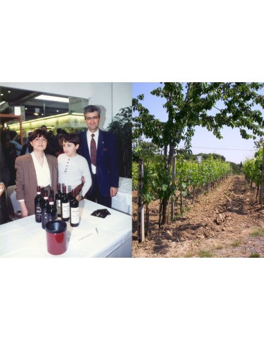Brunello di Montalcino 2019 Docg - Podere...
