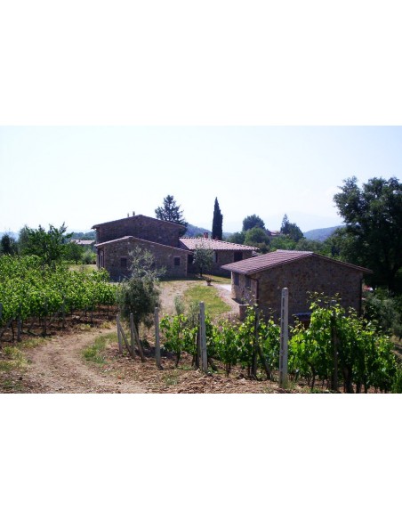 Brunello di Montalcino 2019 Docg - Podere Fornacella