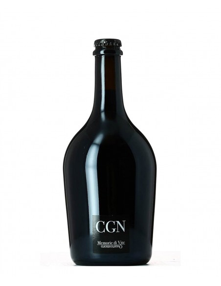 CGN 2019 Doc - Quartomoro