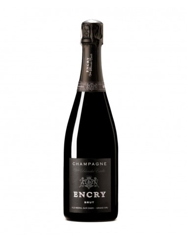 Champagne Brut Grand Cru Blanc de Blancs - Encry
 Tipologia-Vendita diretta