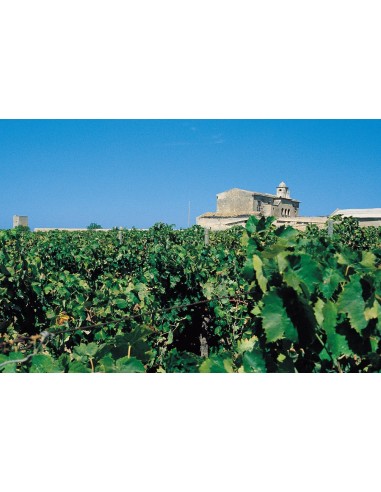 Vino alla Mandorla - Angileri