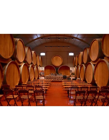 Vino alla Mandorla - Angileri