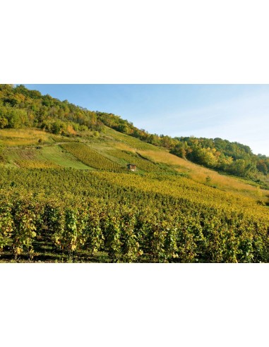 Ayse Brut Les Perles du Mont Blanc Methode...
