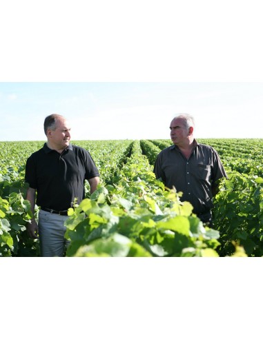 Brut Grand Cru Millesimato 2016  - Georges...