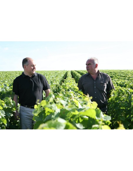 Brut Grand Cru Millesimato 2016  - Georges Vesselle