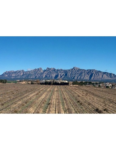 Cava Brut Nature Portium - Raventós Rossell