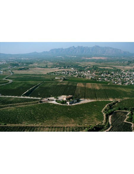 Cava Brut Nature Portium - Raventós Rossell