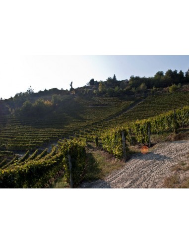 Rosè Dosaggio Zero M.C. 120 mesi 2008 - Erpacrife