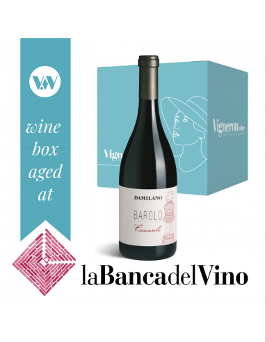 Barolo Cannubi 2005 Damilano - 2 bottiglie - Banca del Vino