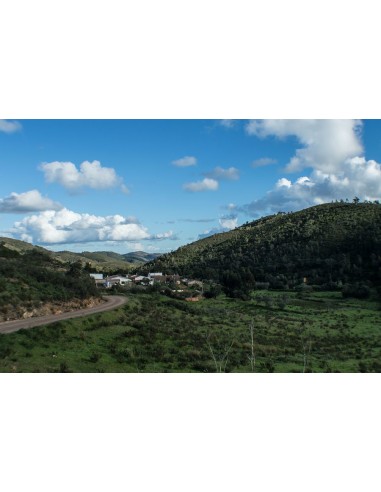 E Liquore Di Fico Figaro - Distillerie Aragonesi