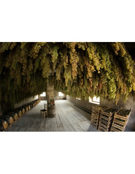 Monte Del Cuca Tappo Vite 2020 Doc - Menti Giovanni