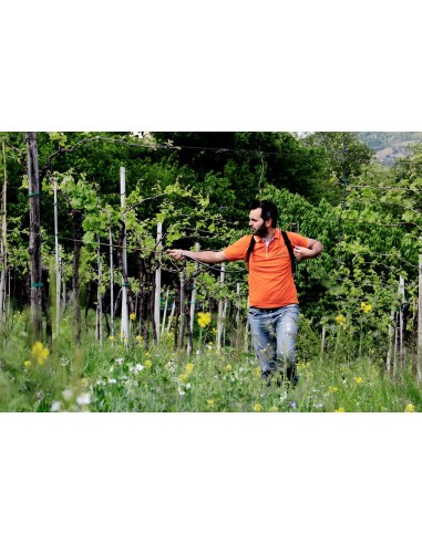 Monte Del Cuca Tappo Vite 2020 Doc - Menti...